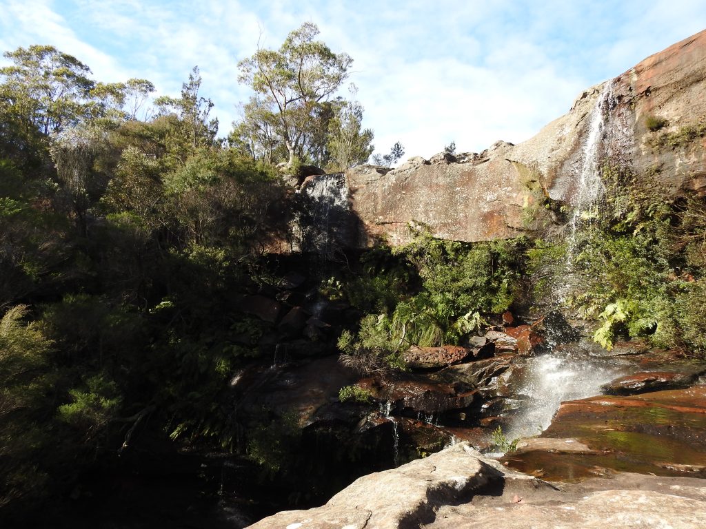 Madden's Falls, Dharawal National Park, bushwalk NSW Australia