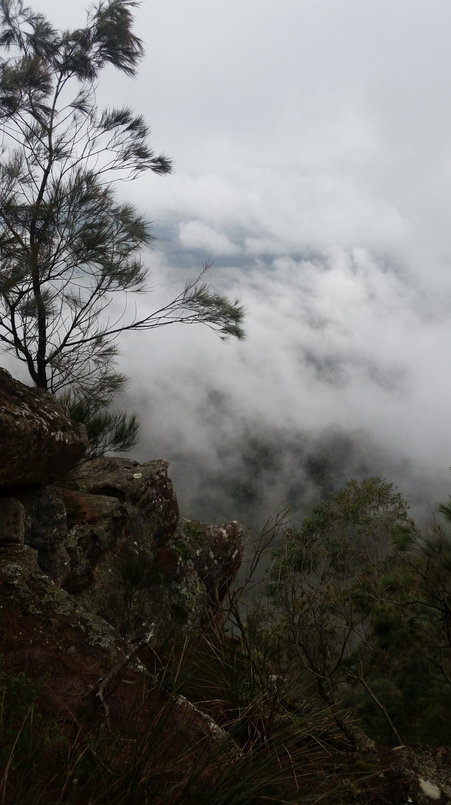 A cloudy day proves to be a spectacular walk to Mt Kembla
