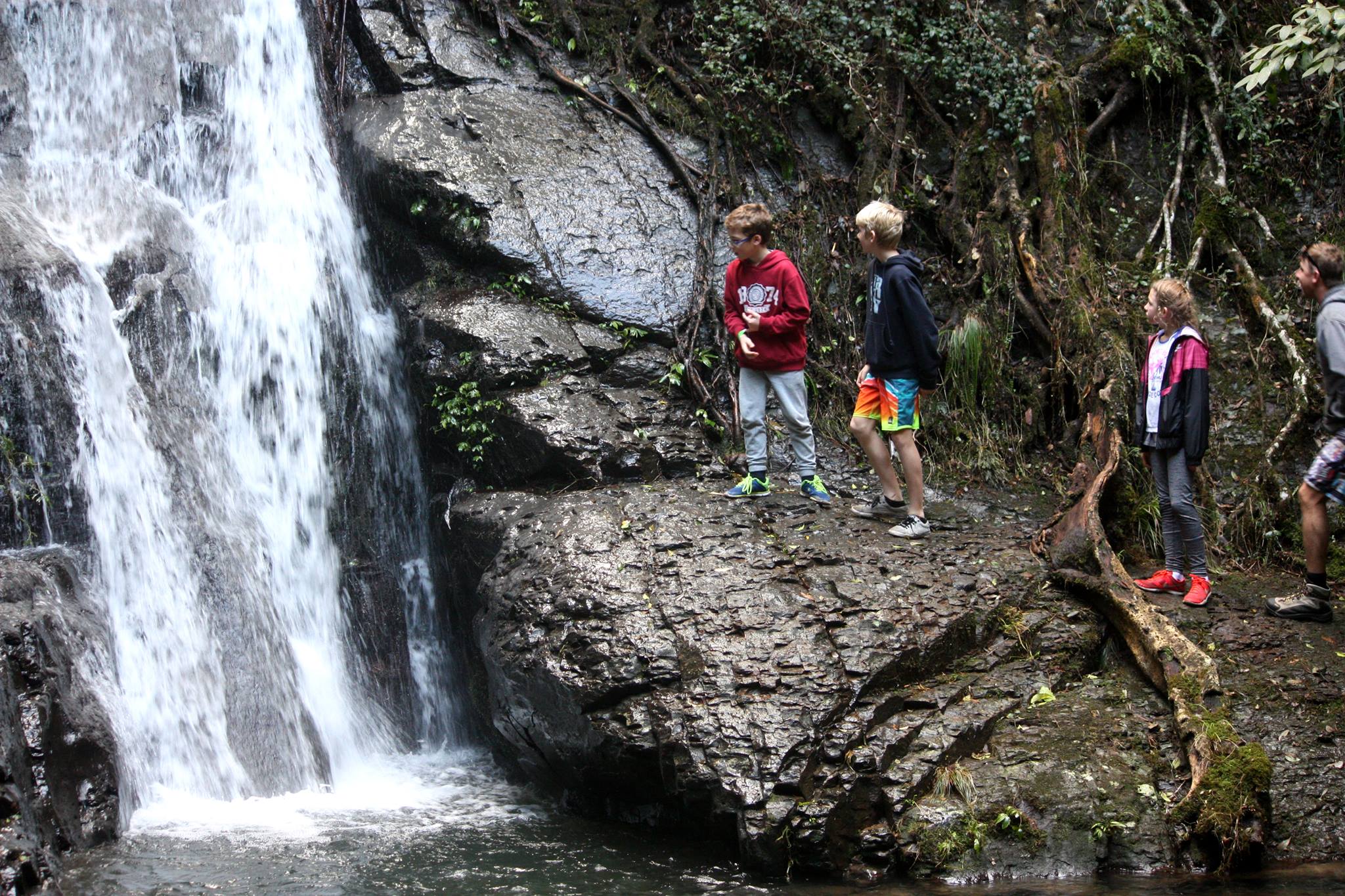 Cascade Walk - Macquarie Pass National Park - Bushwalk The 'Gong