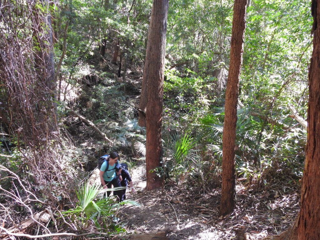 Wodi Wodi trail, Stanwell Park, Illawarra NSW Australia