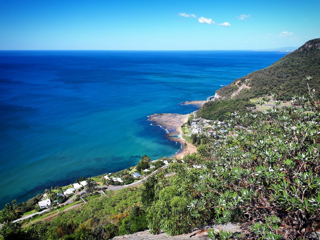 View to Coalcliff from the Forest Path, Stanwell Park