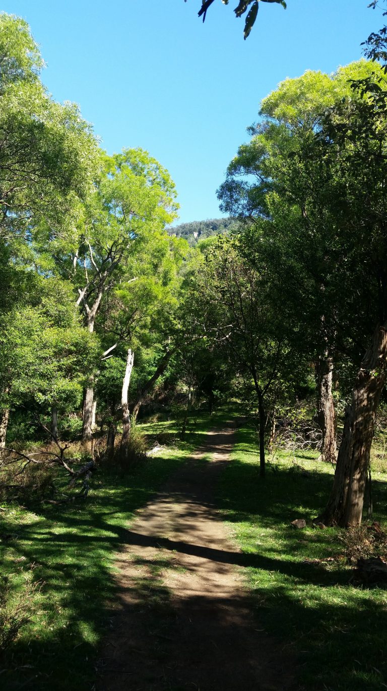 Ken Ausburn Trail, Wollongong NSW Australia bushwalk