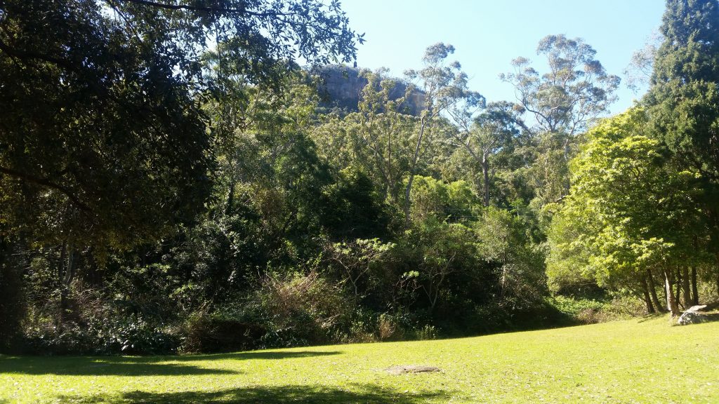 Mt Keira Ring Trail, Wollongong