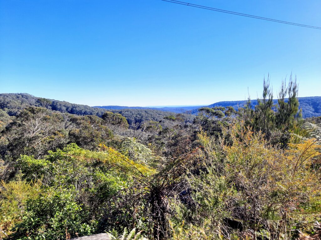 Mt Kembla Ridge Trail, Views to Blue Mountains, bushwalk Wollongong