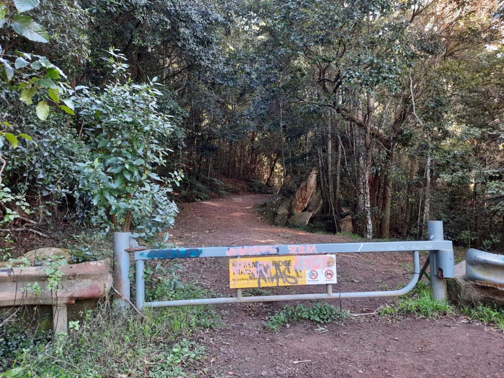 Mt  Kembla Ridge Trail, Wollongong NSW Australia bushwalk