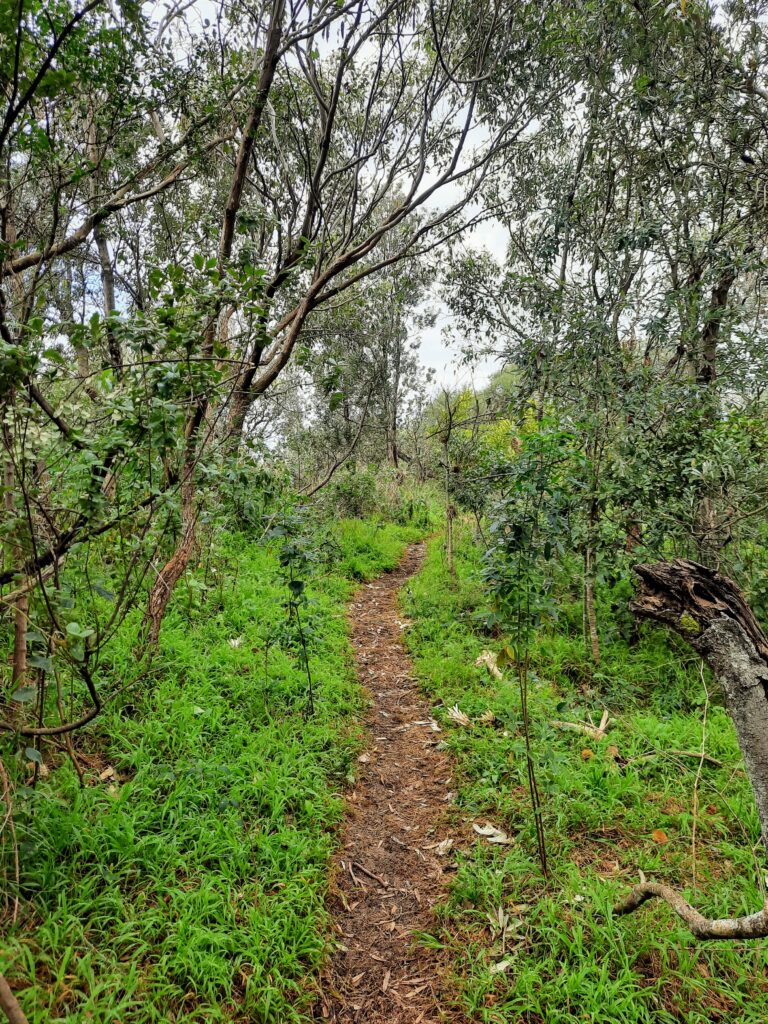 Puckey's Estate Nature Reserve - Bushwalk the 'Gong