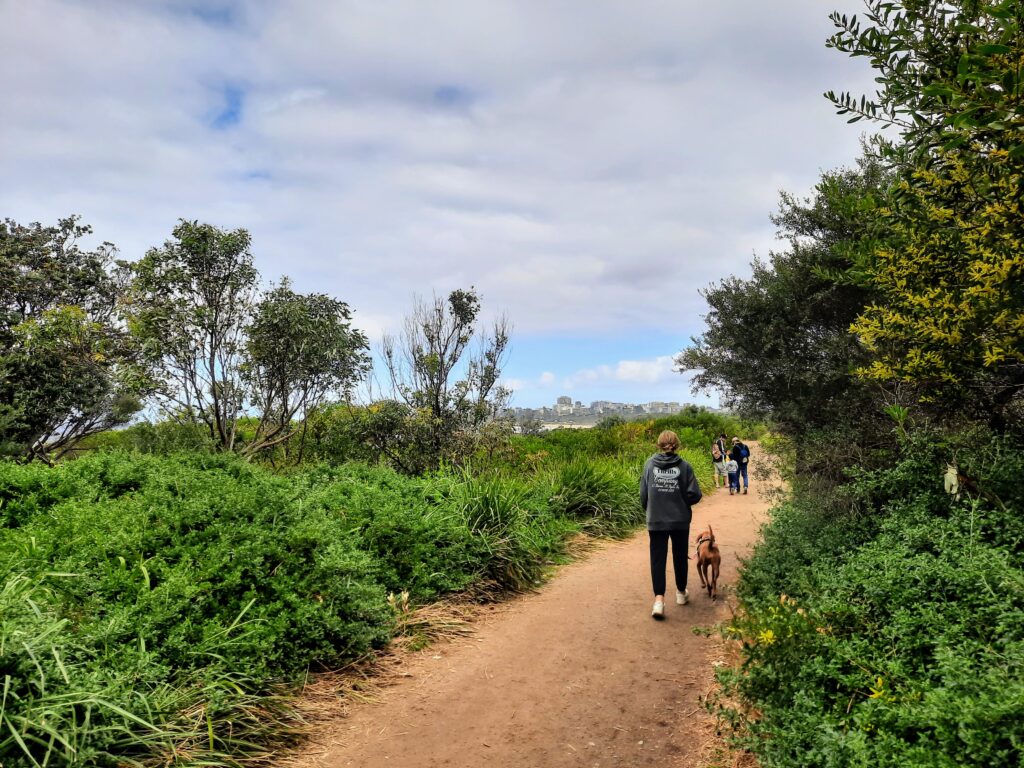 Dog friendly trails, Puckey's Estate Nature Reserve