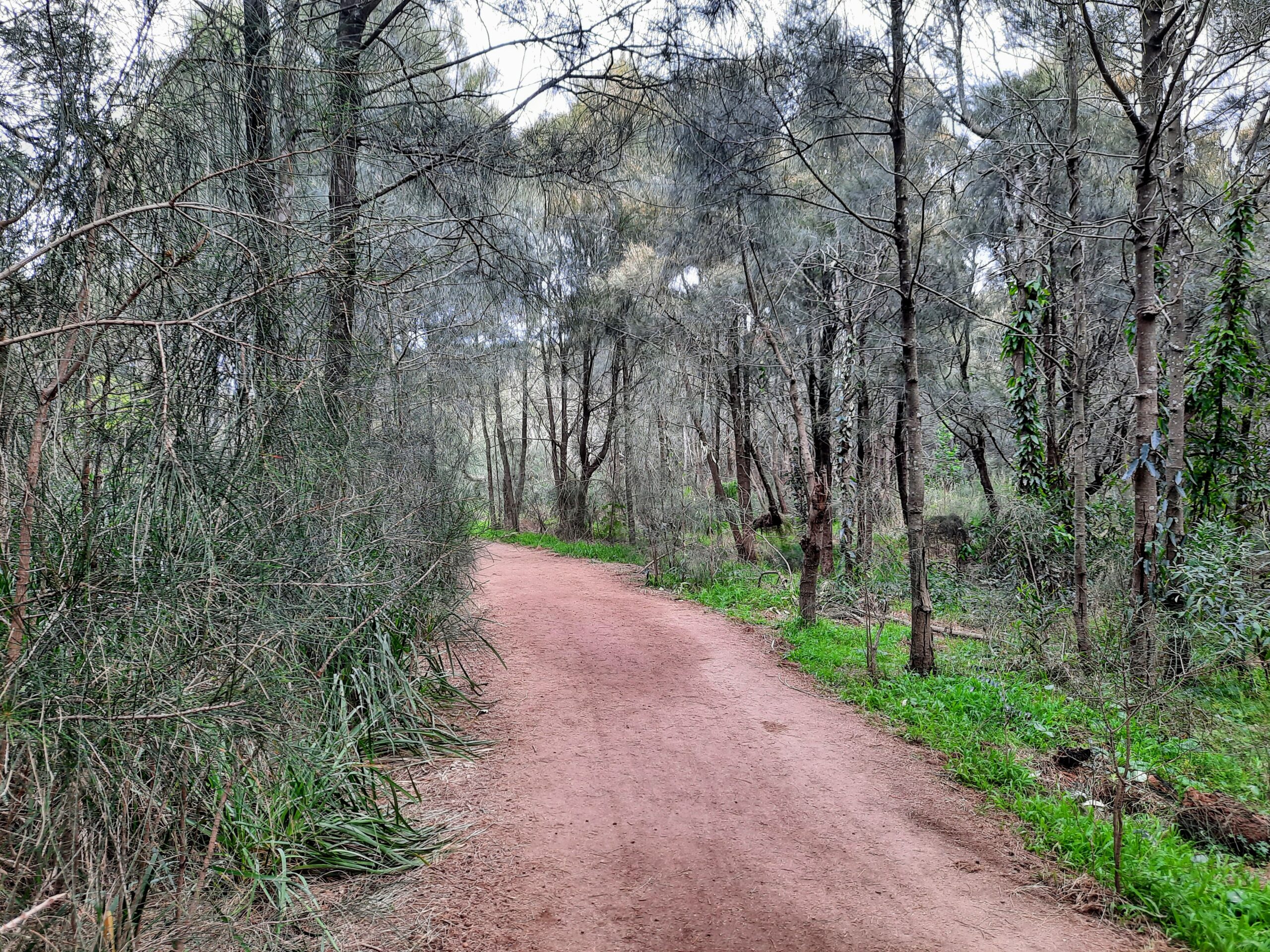 Wide clear trails, Puckey's Estate Nature Reserve