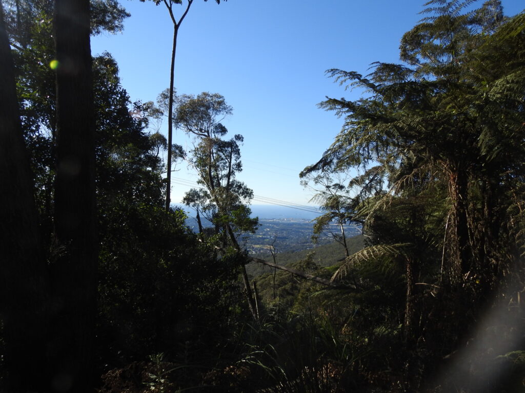 Mt Kembla Ridge Trail, views over Wollongong