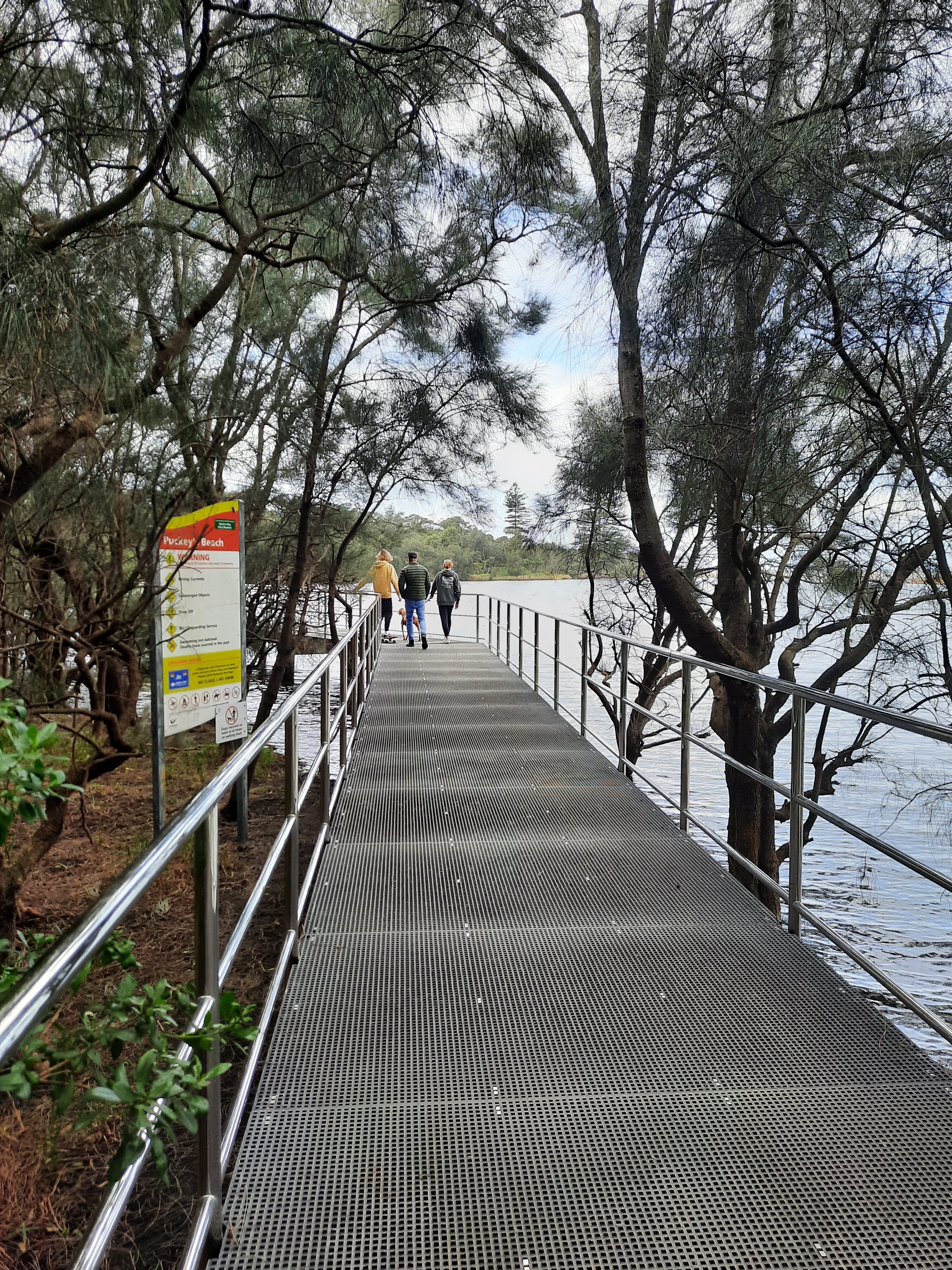 Raised boardwalks and signage, Puckey's Estate Nature Reserve 